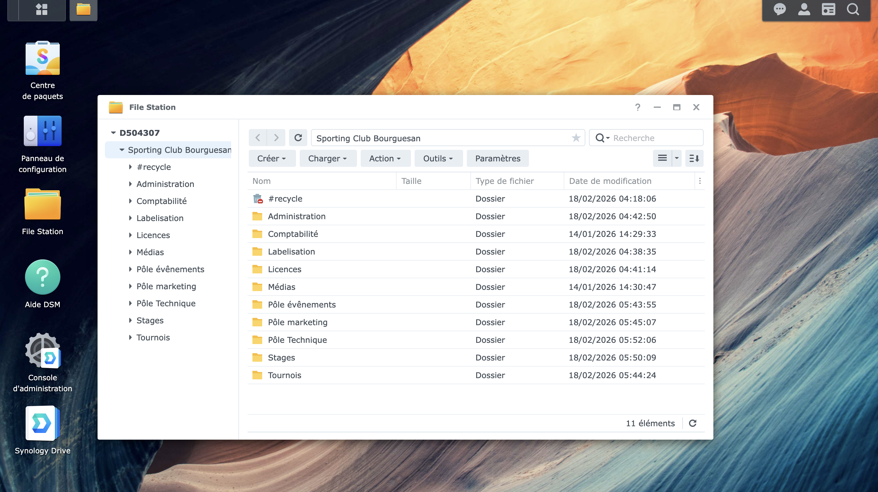 Capture DSM : dossiers partagés